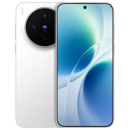 Vivo X300s